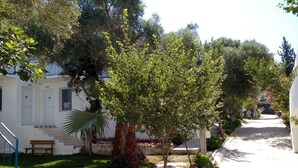 الفناء