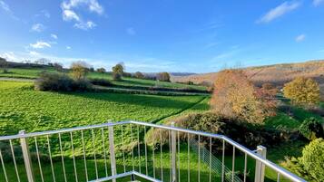 Apartment, 1 Bedroom, Mountain View | Pemandangan balkoni