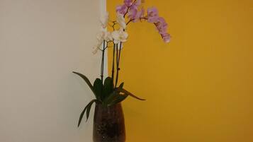 Una orquídea en maceta con flores blancas y rosas sobre un fondo amarillo.