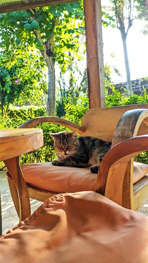 Exterior - Kirina Wellness in the Valley (Pai)