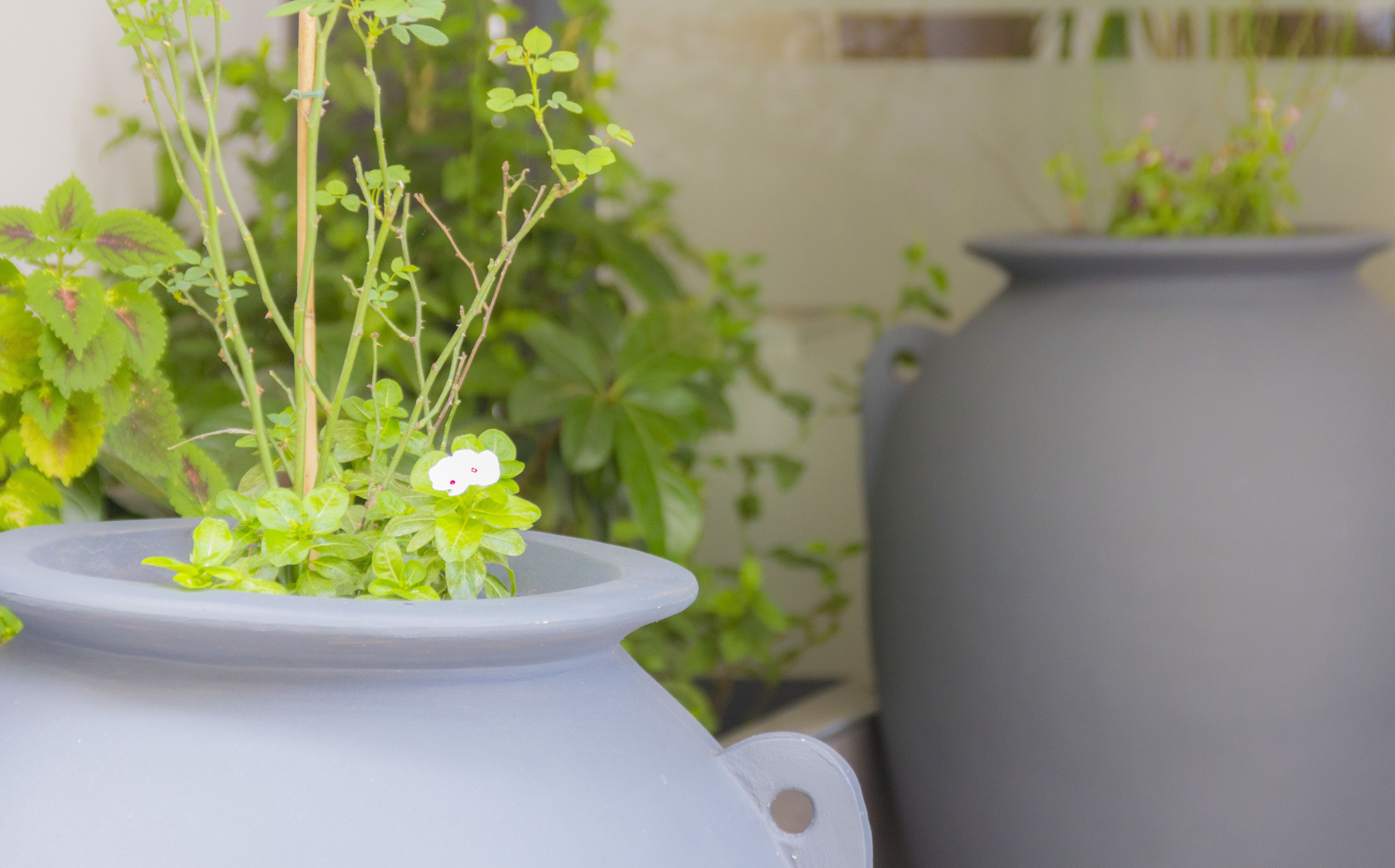 Foto - Athens Choice Hotel