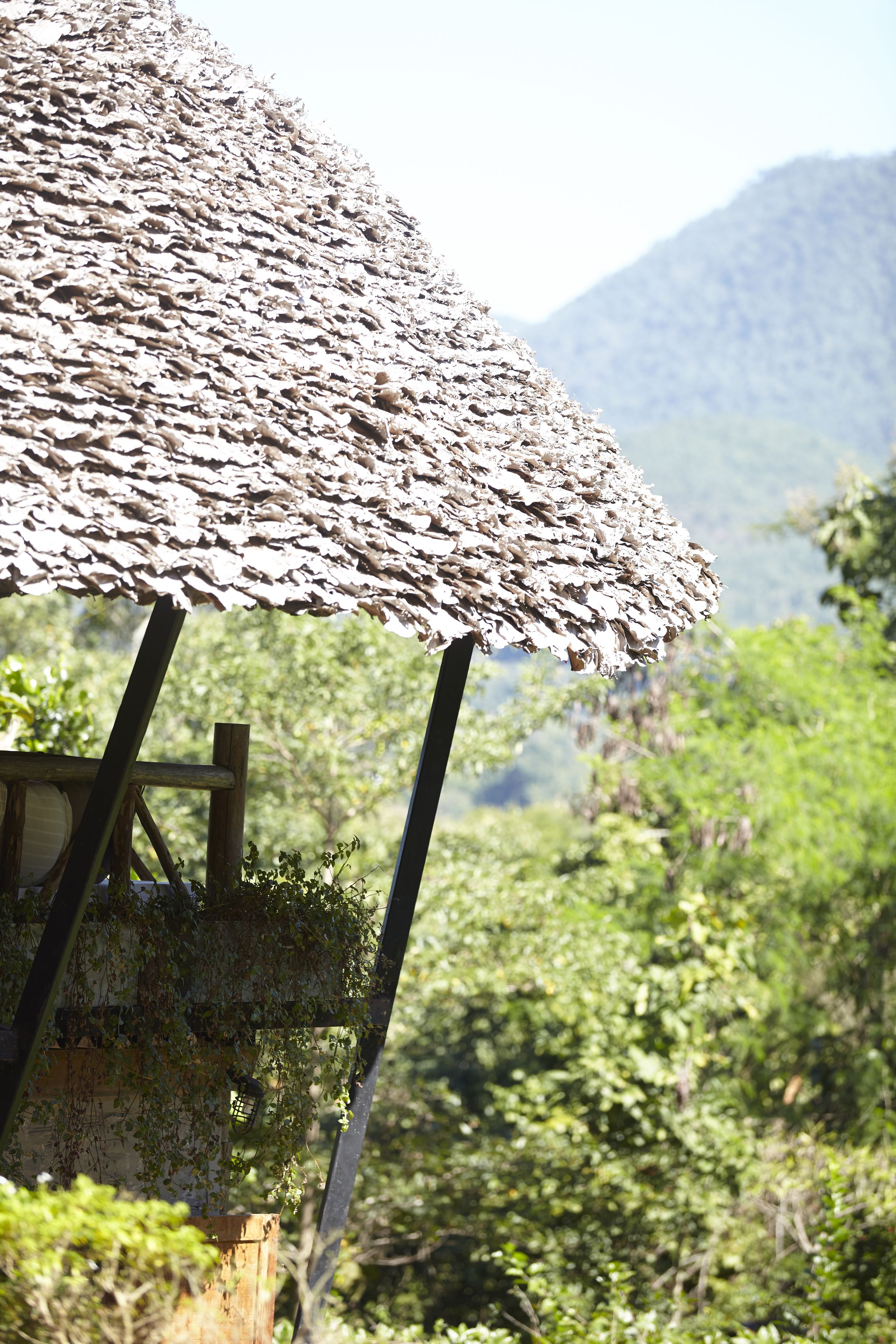 family tree house, 2 bedrooms | property amenity