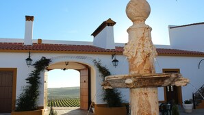 A rustic fountain with a stone balustrade, an archway leading to a vineyard, and a clear blue sky.