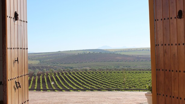 An open archway leading to a vineyard view.