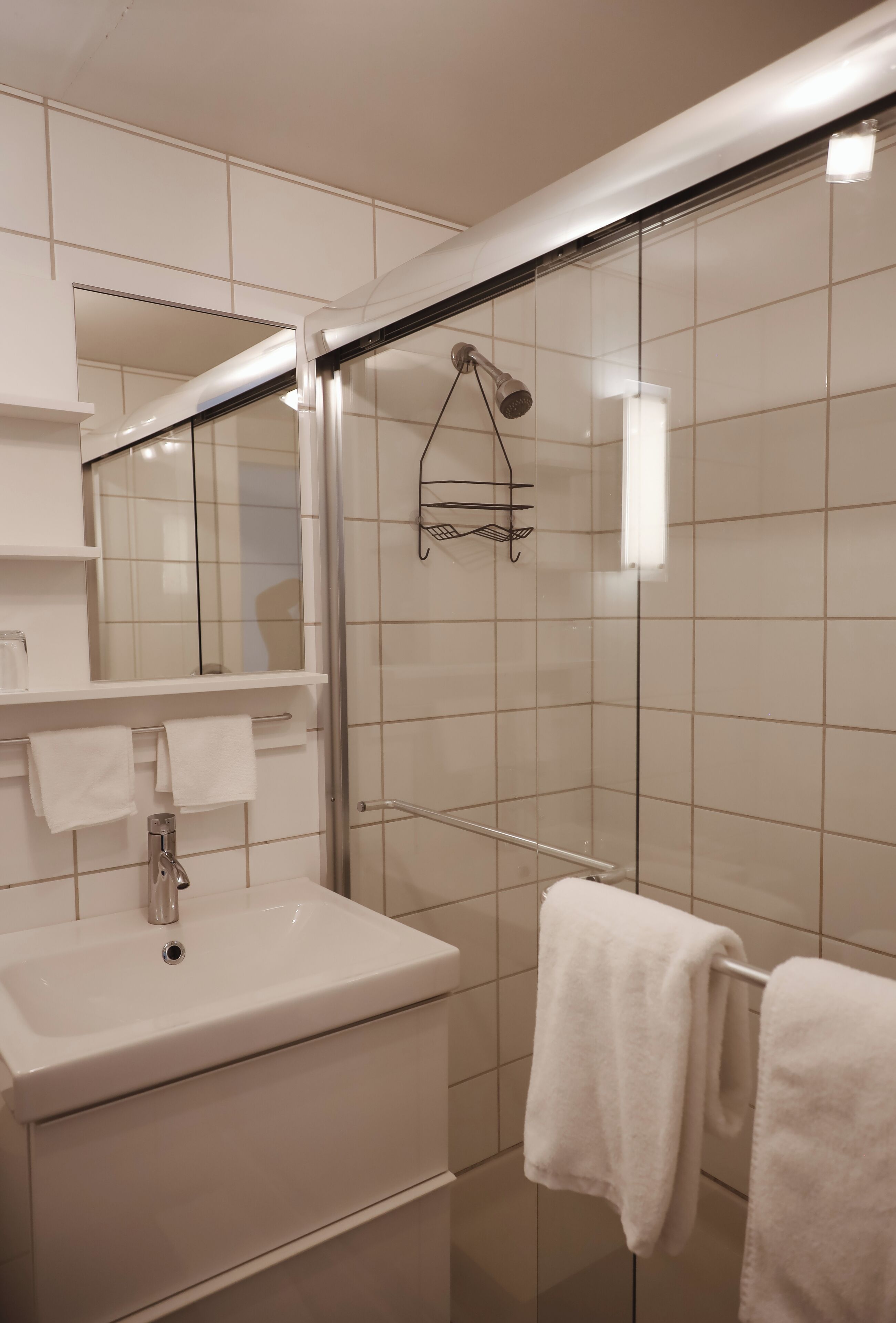 designer toiletries, hair dryer, towels