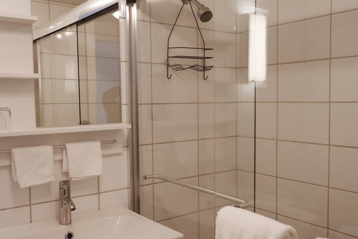 designer toiletries, hair dryer, towels