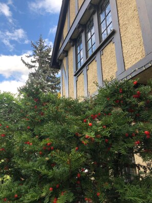 Exterior - Ambassador B&B (Ottawa)