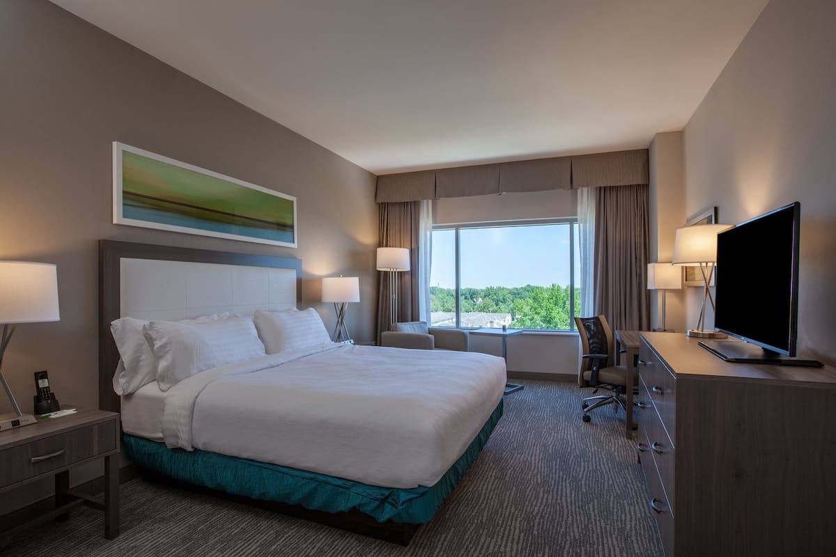Standard Room, 1 King Bed (Roll-In Shower) | 1 bedroom, in-room safe, desk, laptop workspace