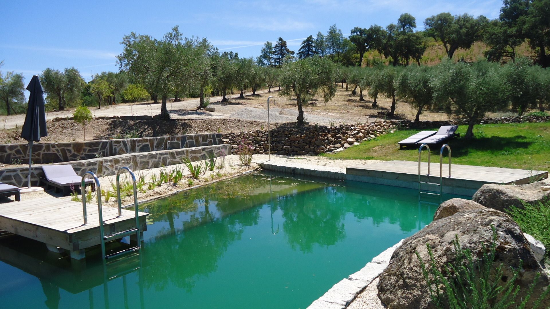 A swimming pool with a stone deck, lounge chairs, and a stone wall.