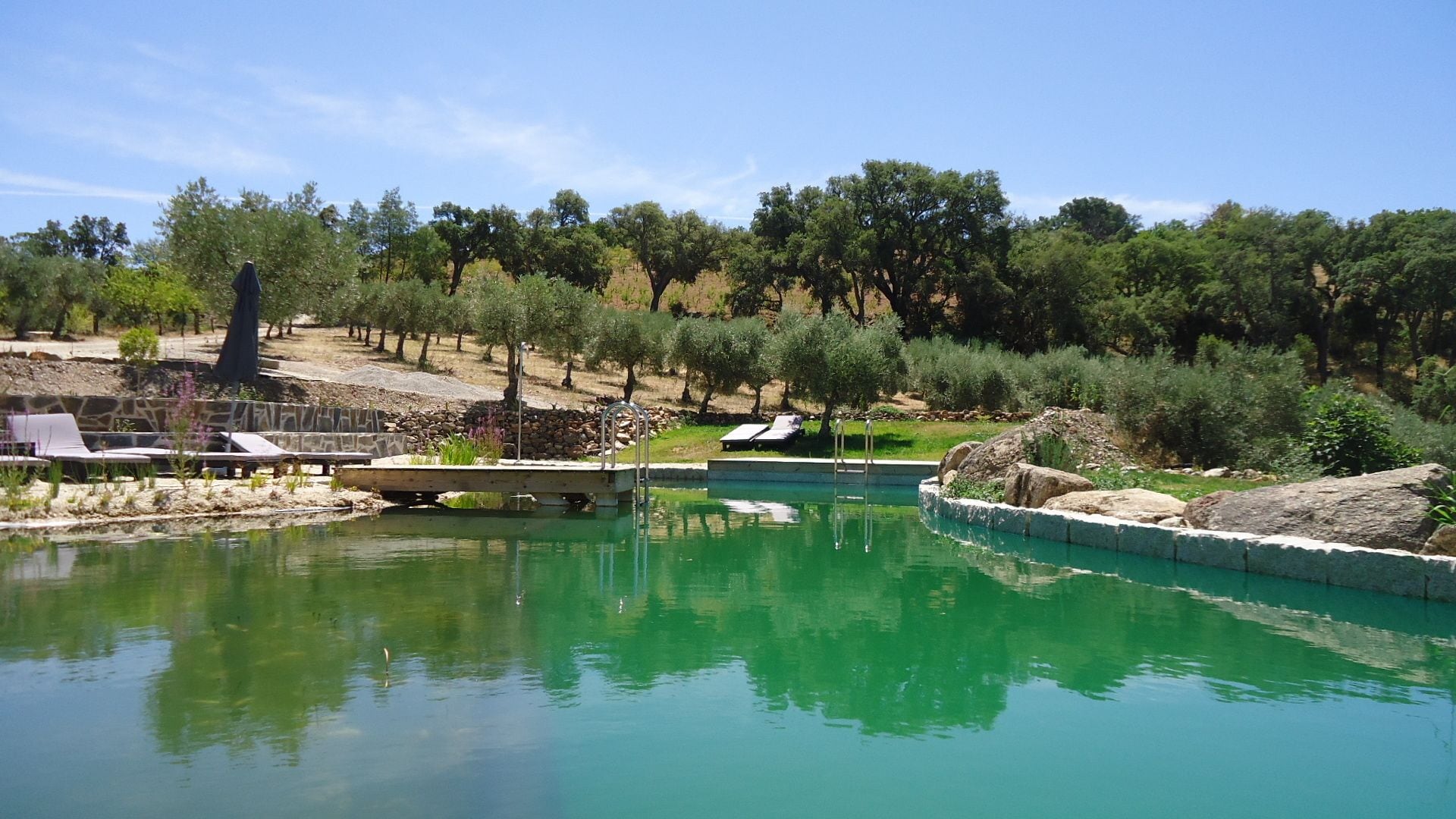 Alberca al aire libre 