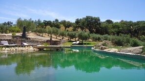 A swimming pool with lounge chairs and a stone wall. - Bela Vista Silo Housing (Alfandega da Fe)