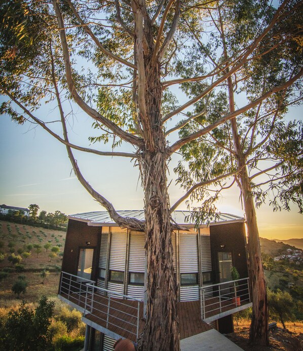 Una casa en el árbol con barandilla metálica y vistas del paisaje circundante.