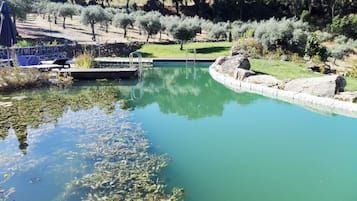 A clear pool with a stone border, surrounded by greenery and trees.
