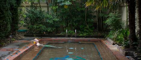 A courtyard with a tiled pool featuring a decorative pattern, surrounded by lush greenery and a brick border.
