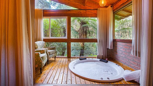 Une cabane en bois dotée d’un bain à remous, de grandes fenêtres et offrant une vue sur la forêt.