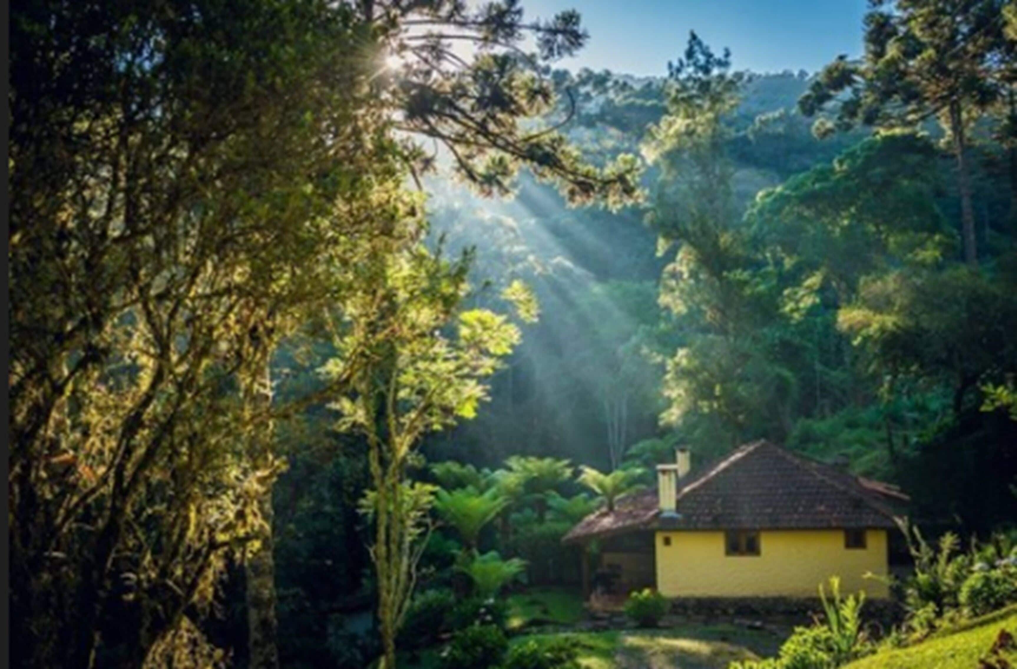 Minibar, blackout curtains, soundproofing, bed sheets