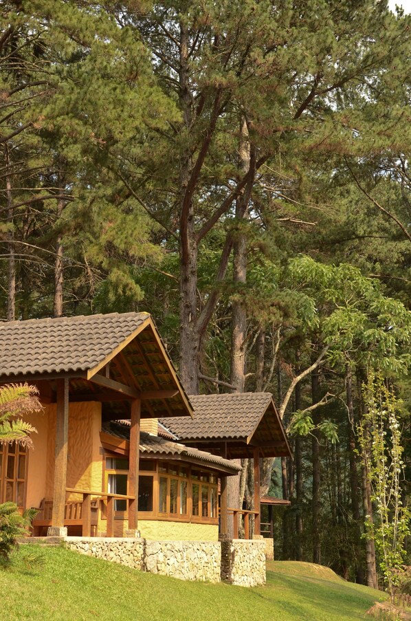 A traditional wooden cabin with a tiled roof, surrounded by dense forest.