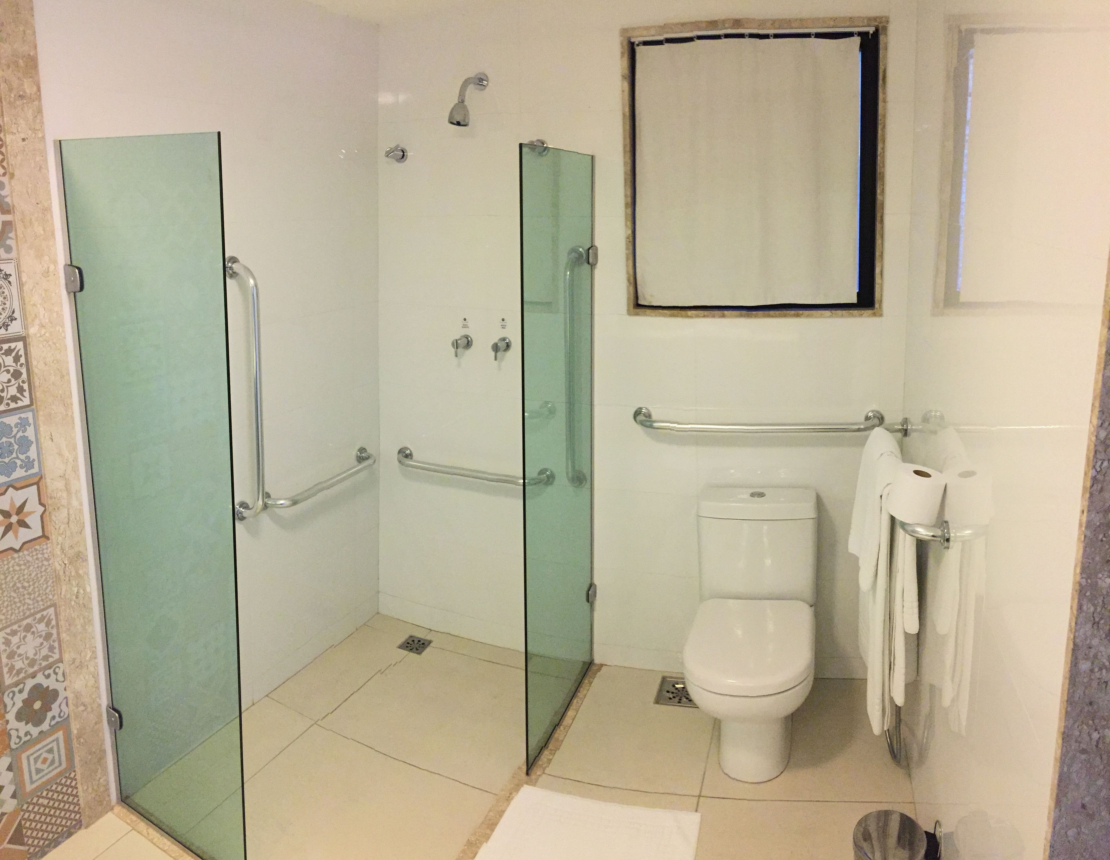 A bathroom with a glass-enclosed shower, a toilet, and a handrail.