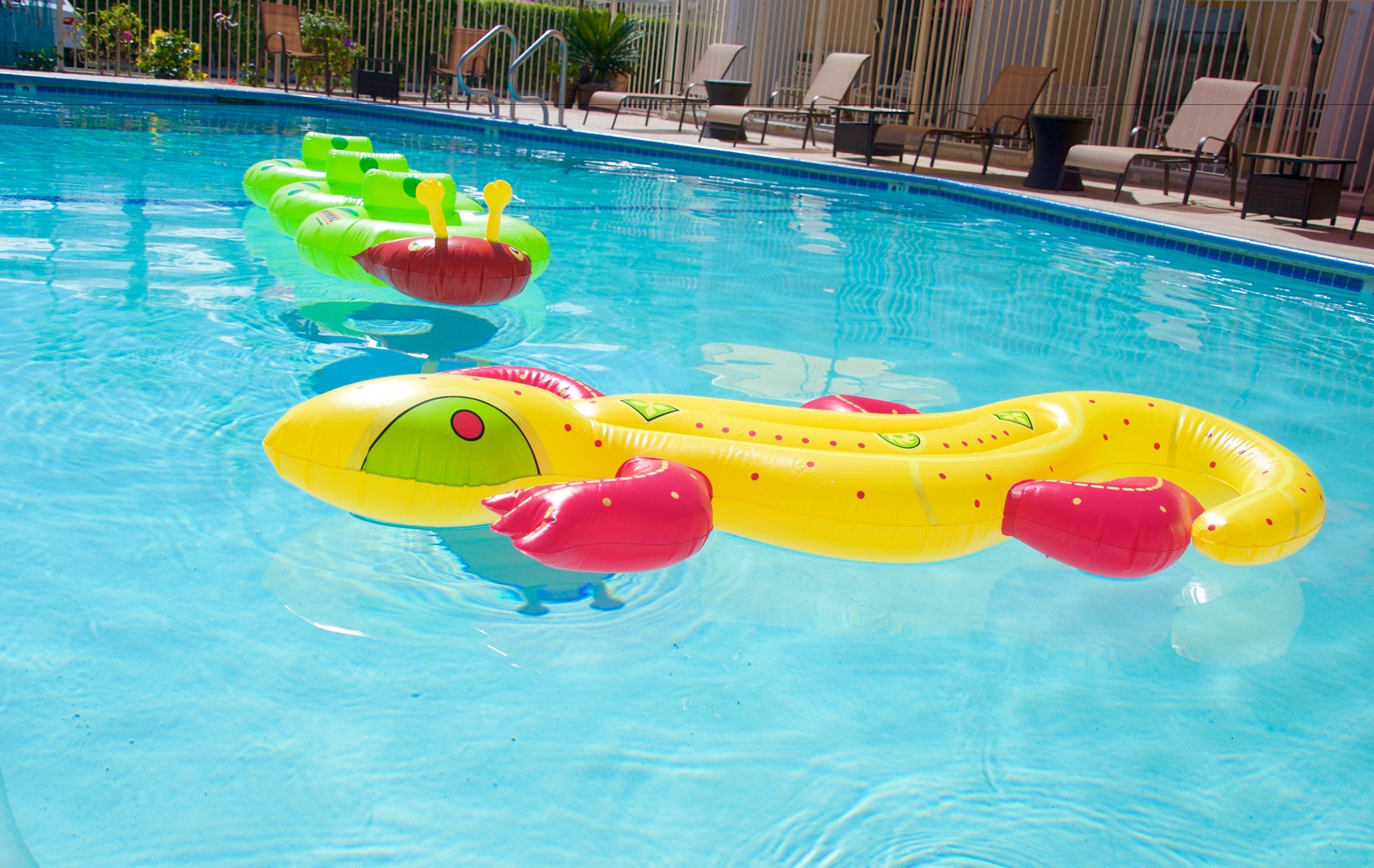 室外泳池；泳池傘、躺椅