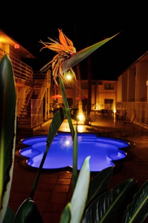 Bañera de hidromasaje exterior