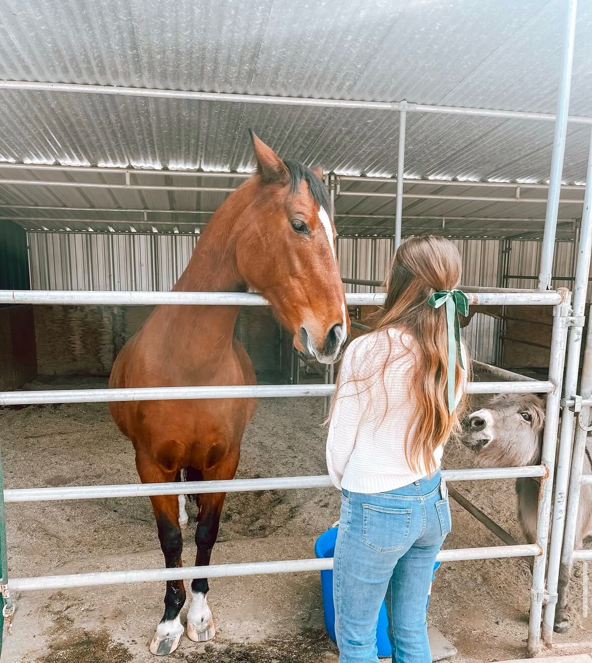 A stable with metal railings and a horse inside.