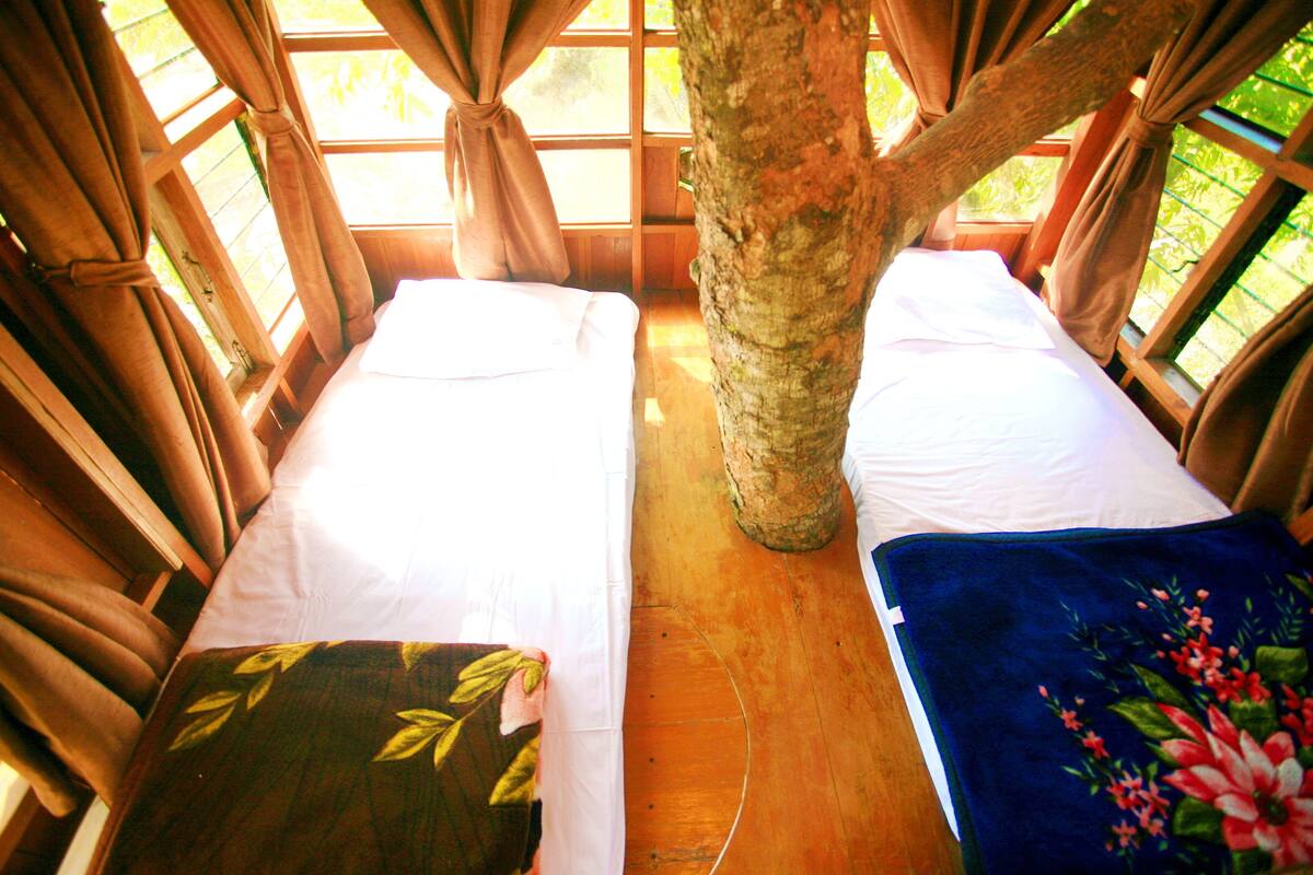 Quarto com duas camas, um tronco de árvore no centro e grandes janelas com cortinas.