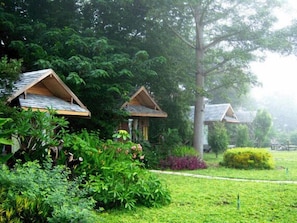 A row of rustic wooden cabins surrounded by lush greenery and trees. - Pai Treehouse Resort (Pai)
