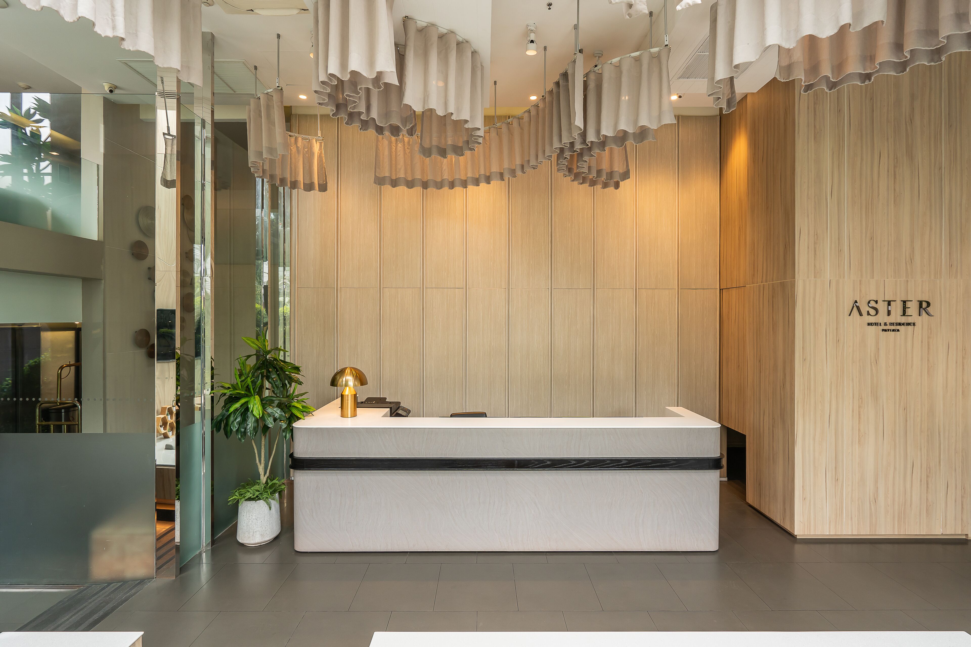 Un área de recepción moderna con mostrador, planta en maceta y pared de madera con el nombre 'ASTER' a la vista.