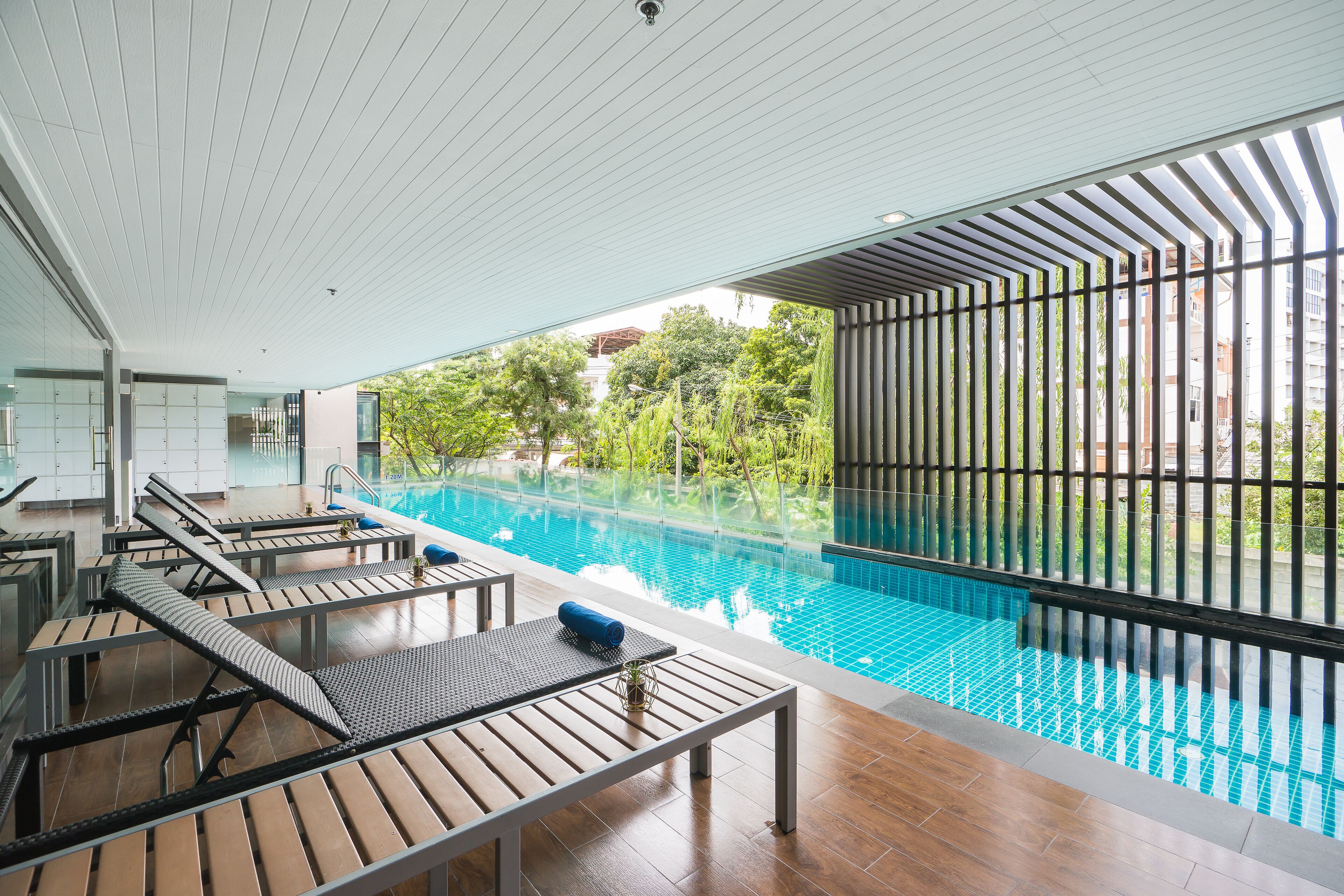 outdoor pool, pool loungers