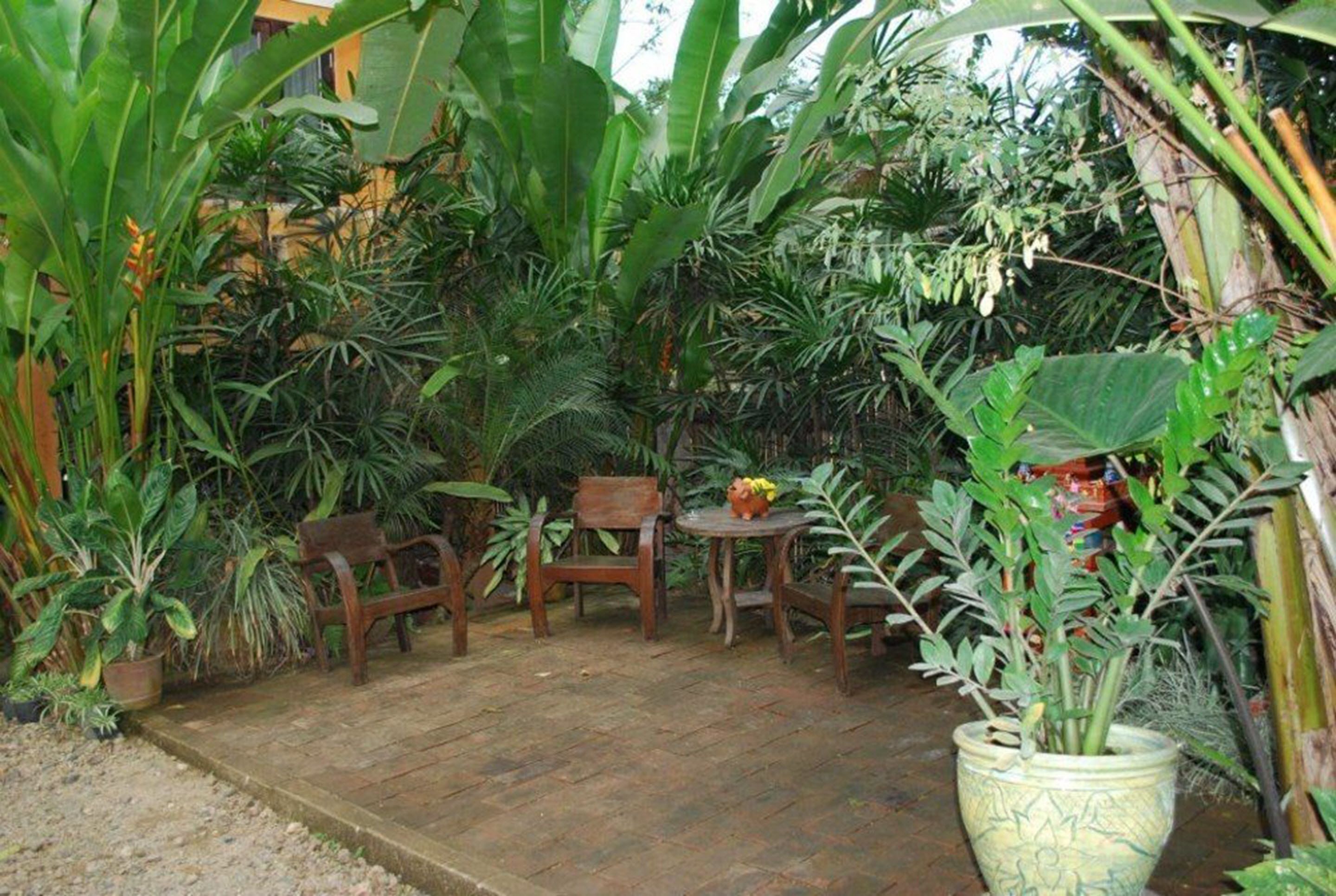 A patio area with wooden chairs and a table surrounded by lush tropical plants.