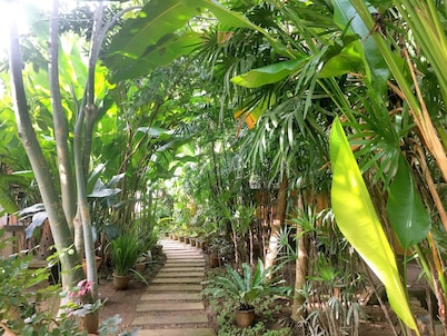 Breeze of Pai Guesthouse