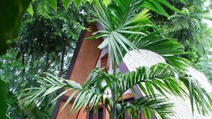 Una cabaña con techo inclinado, rodeada de exuberante vegetación tropical.