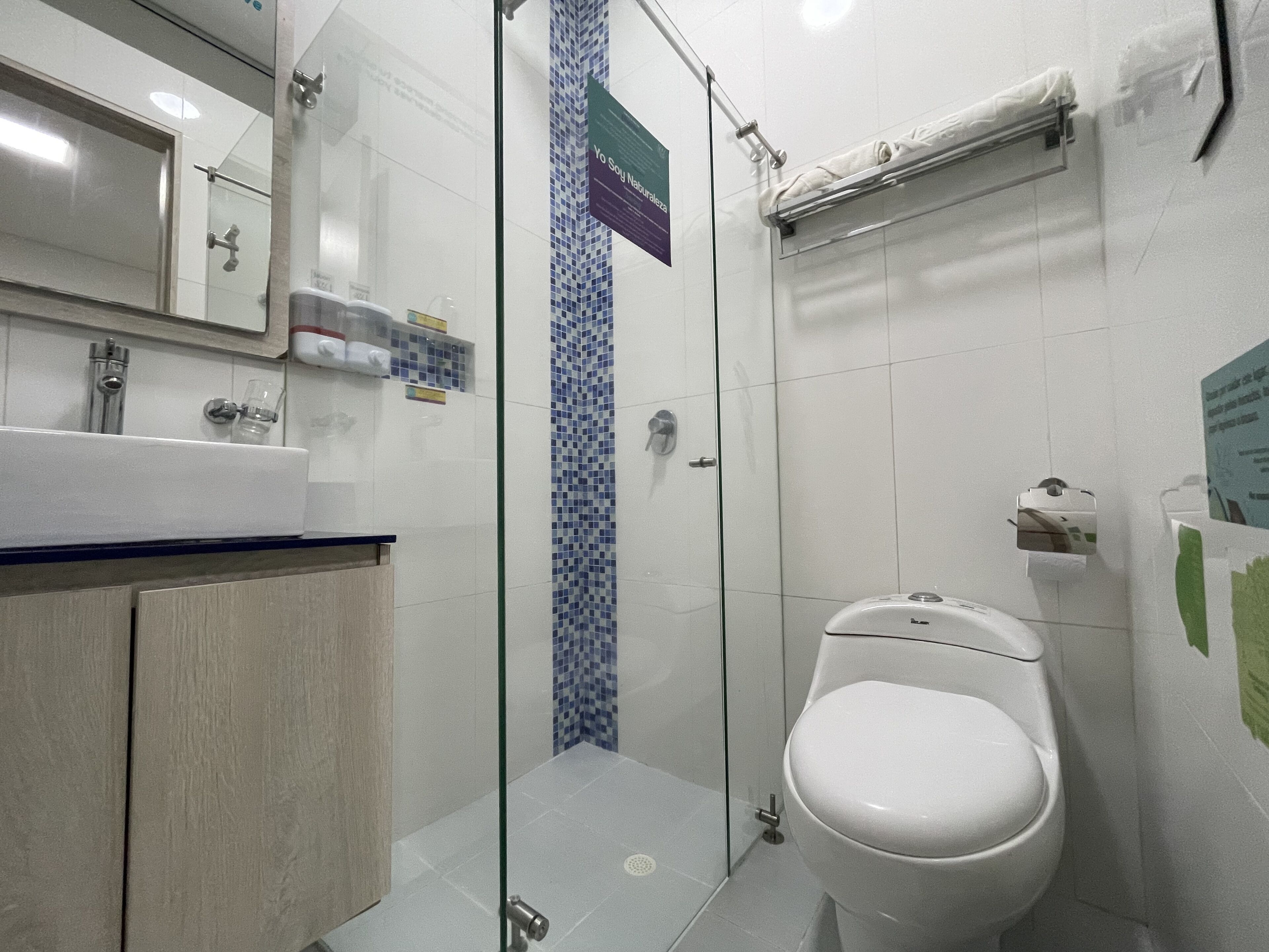 shower, free toiletries, hair dryer, towels