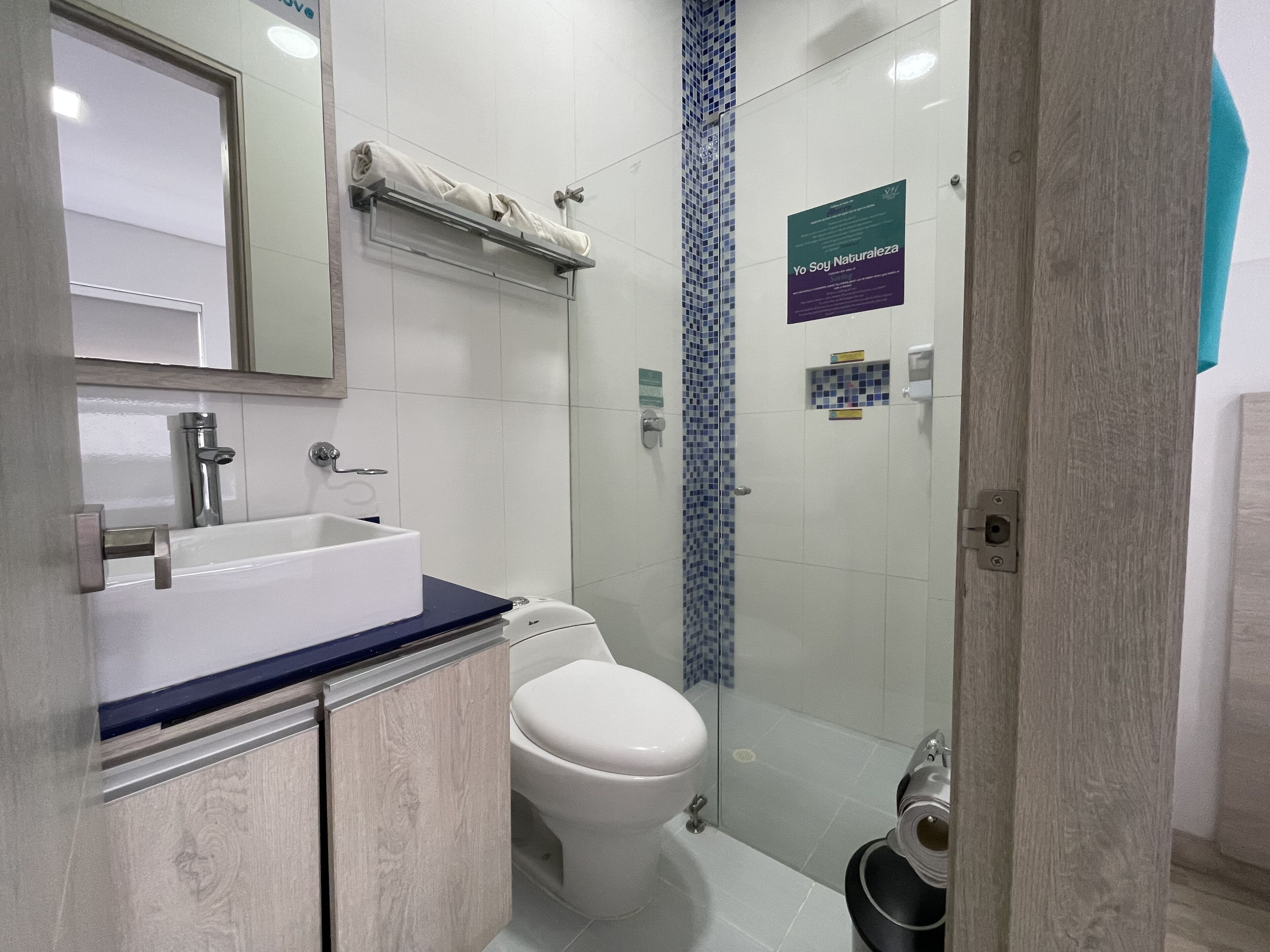 shower, free toiletries, hair dryer, towels