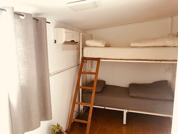 A bunk bed room with a ladder, a curtain, and a small plant.