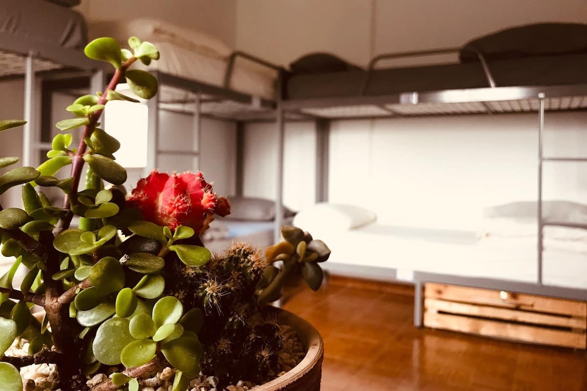 Shared Dormitory, Shared Bathroom (Wadi Salib) | Shared bathroom