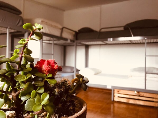 Phòng tập thể, phòng tắm dùng chung (Wadi Salib) | Phòng tắm chung