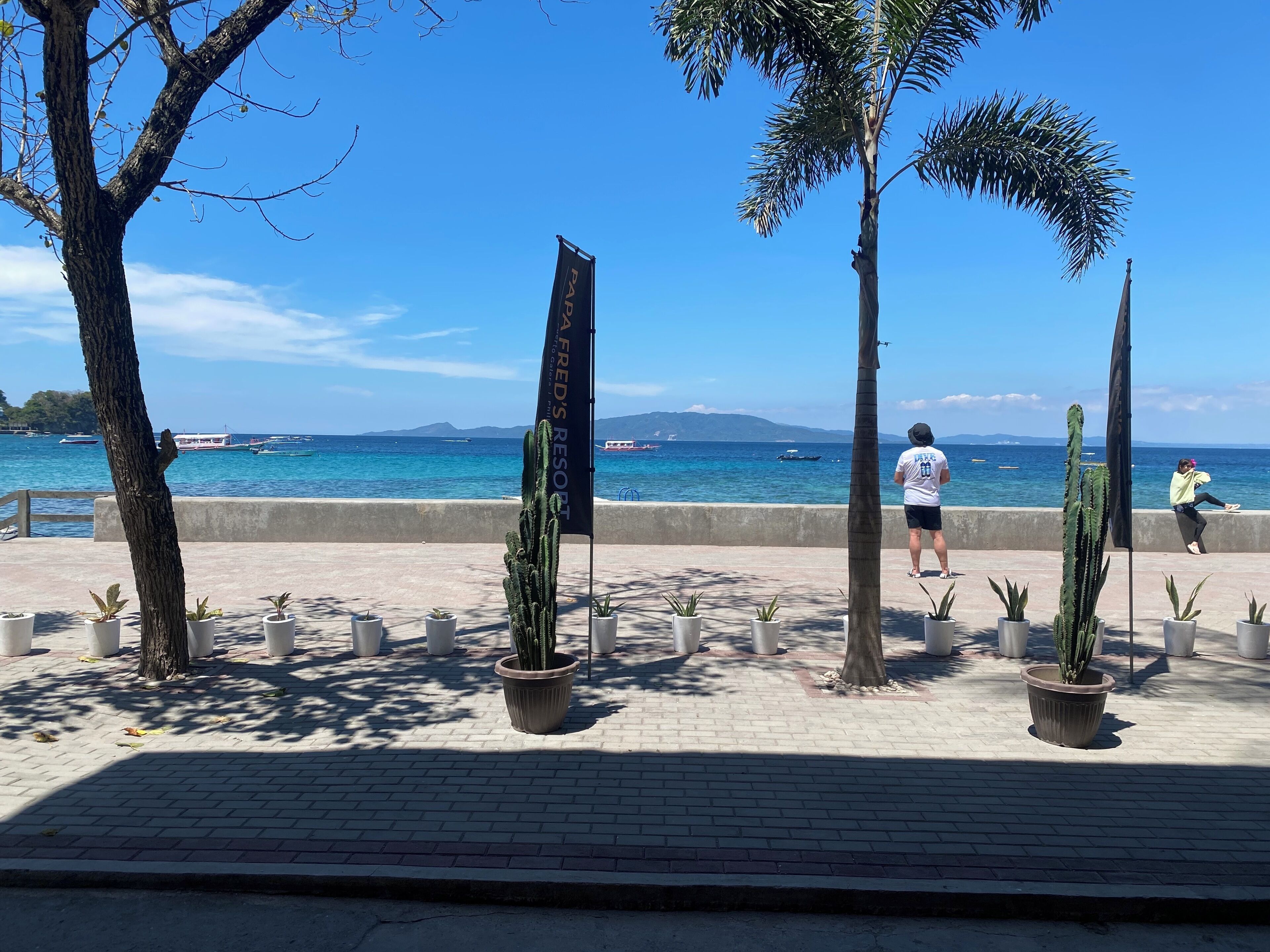 A coastal walkway with potted plants, a flag, and a view of the sea with boats.