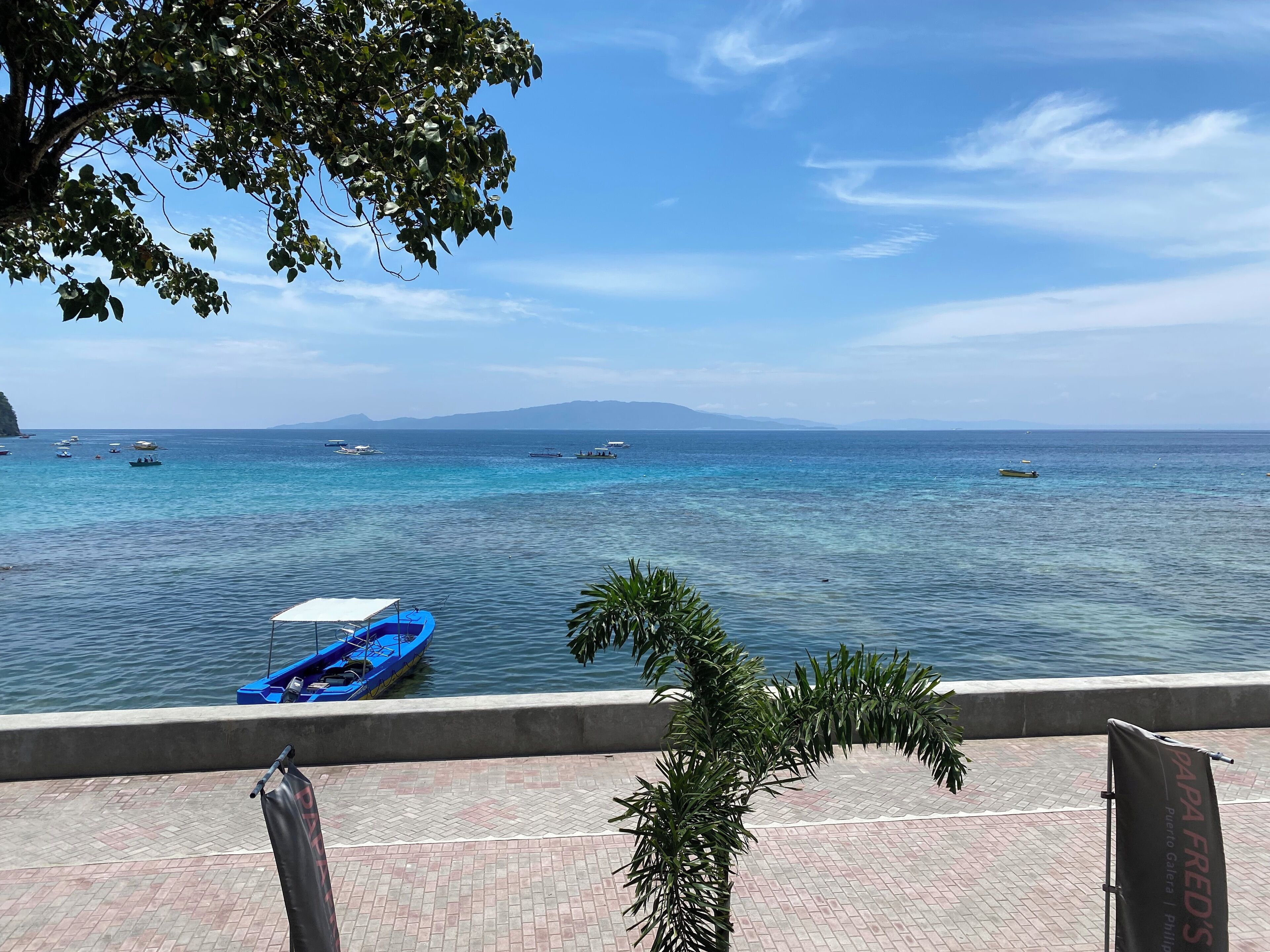 premium room, 1 king bed, ocean view | view from room