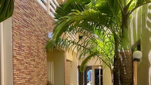A narrow corridor with a brick wall on one side and a palm tree on the other. There are potted plants along the path and a blue mat with "WELCOME" written on it.