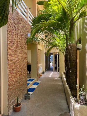 Deluxe Studio | Courtyard view - Papa Fred's Beach Resort (Puerto Galera)