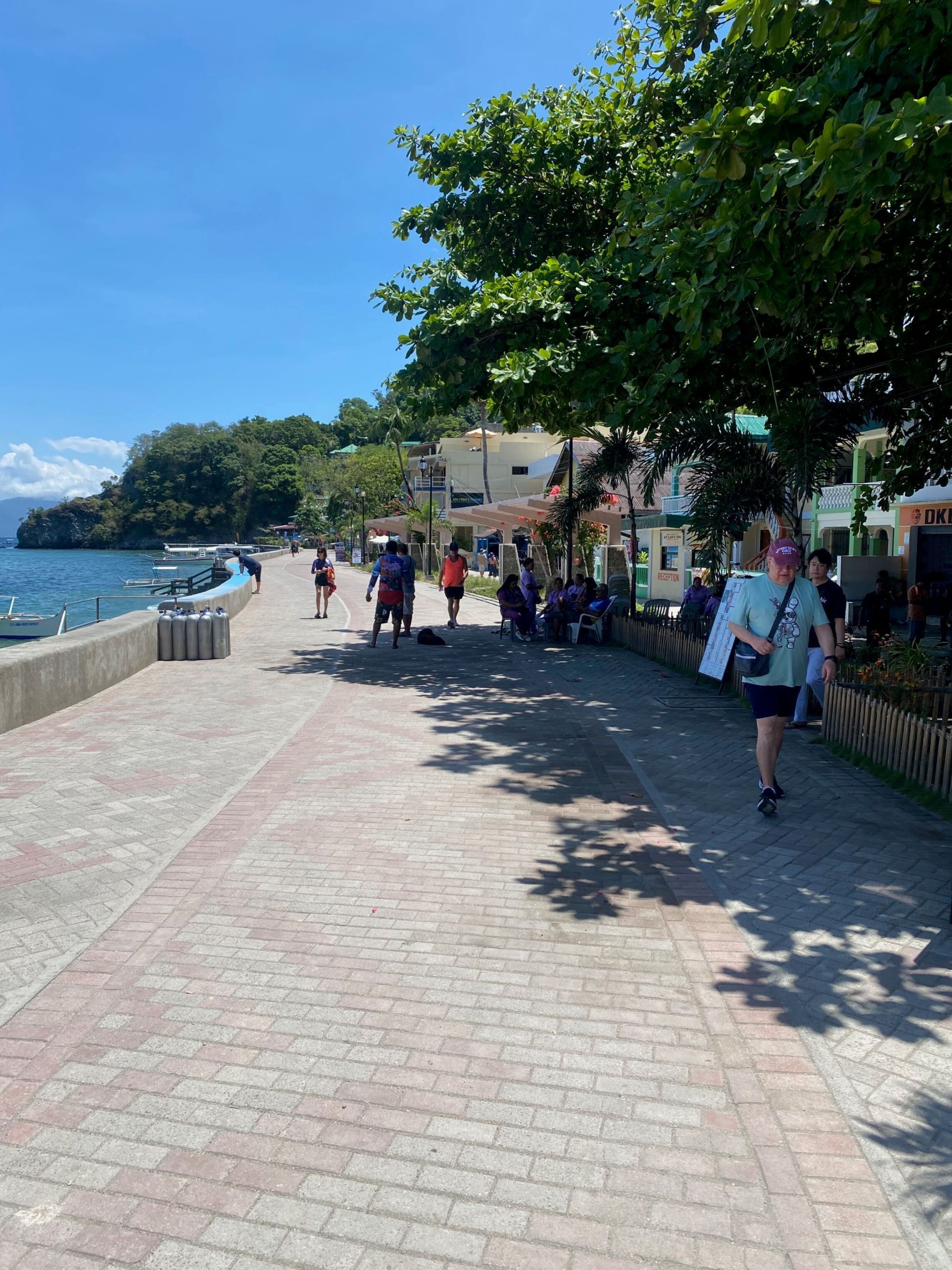 A paved walkway with a view of the sea, lined with trees and buildings.