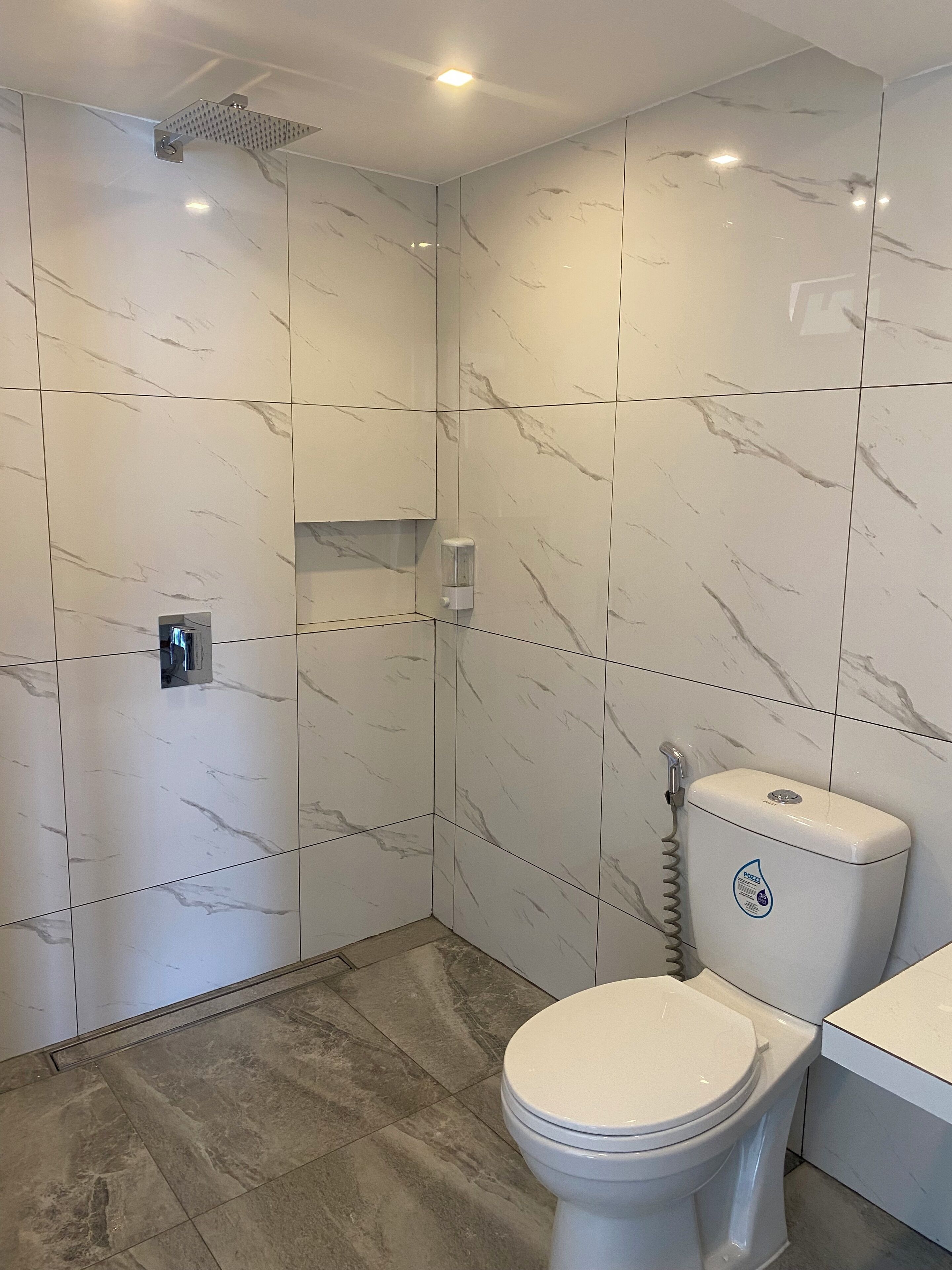 A modern bathroom with a toilet, a shower, and a toilet paper dispenser.