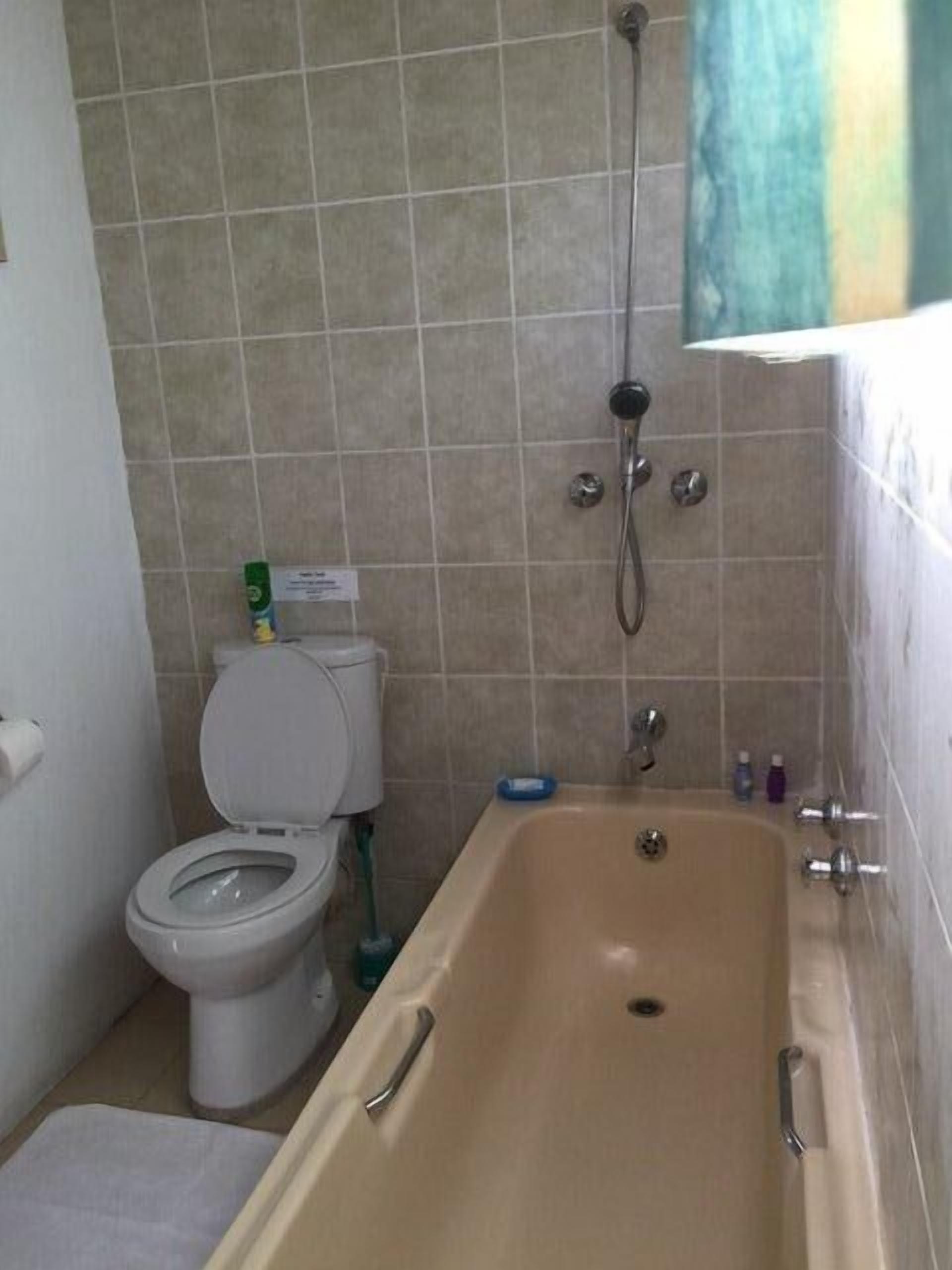 A bathroom with a toilet, a bathtub, and a shower.