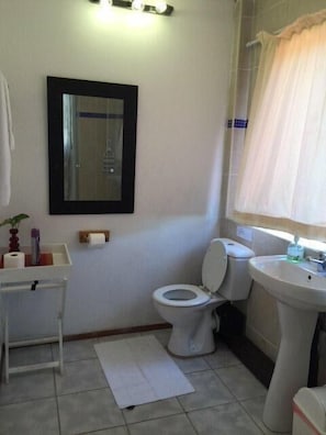 A bathroom with a toilet, sink, mirror, and a small table with toiletries. - Pinetown Lala Land (Kloof)