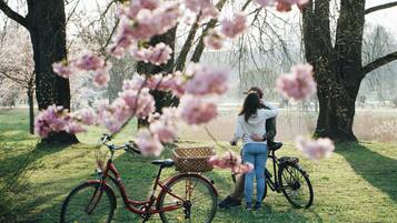 Un vélo rouge avec un panier, une personne debout à côté, et des fleurs de cerisier au premier plan.