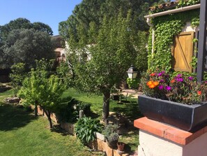 شرفة على السطح