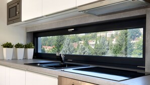 A modern kitchen with a large window, stainless steel appliances, and potted plants. - Apartmány Eden (Luhacovice)
