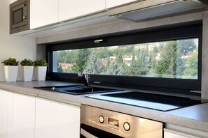 Luxury Duplex, 1 Bedroom, Kitchen, City View | Private kitchen | Fridge, microwave, oven, stovetop - Apartmány Eden (Luhacovice)