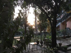 Vista desde la habitación